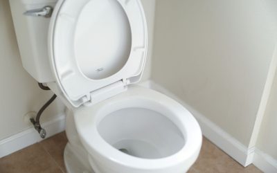 Why Bathroom Trailers Are Cleaner Than Porta Potties